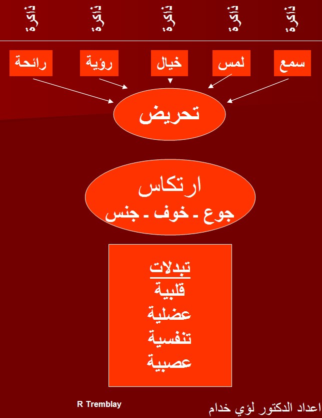 [صورة: reaction.jpg]